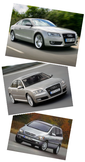Auto Feller